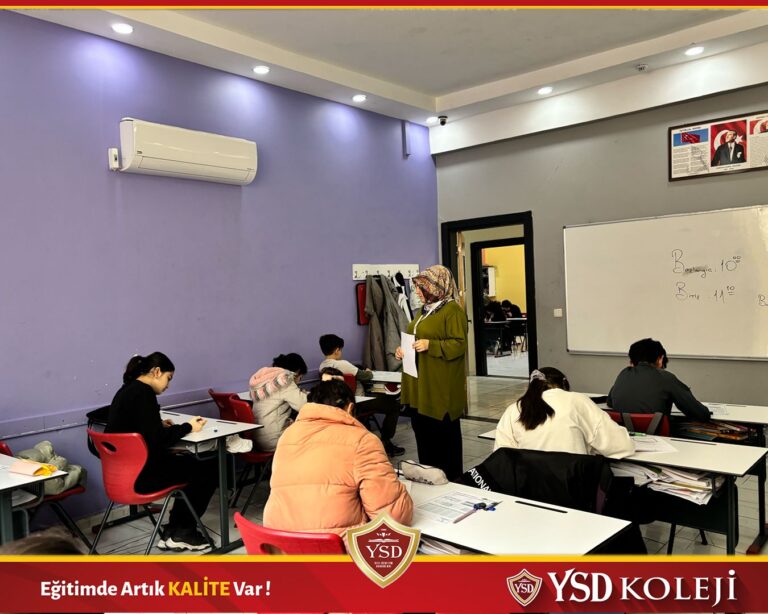 WhatsApp Image 2025-03-01 at 21.22