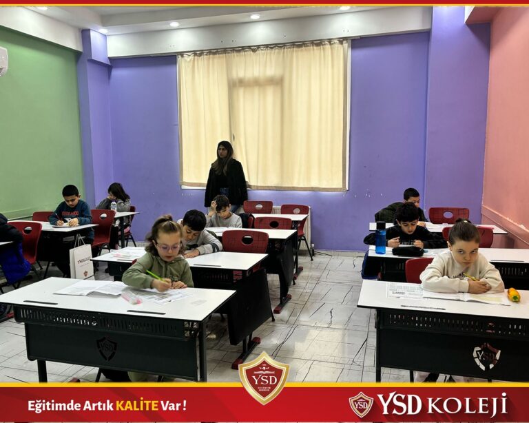 WhatsApp Image 2025-03-01 at 21.22